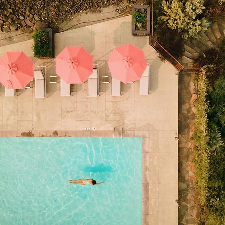 Sagecliffe Resort & Spa George Dış mekan fotoğraf